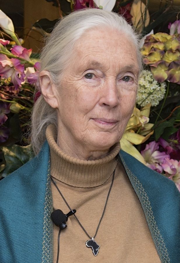 Dr. Jane Goodall