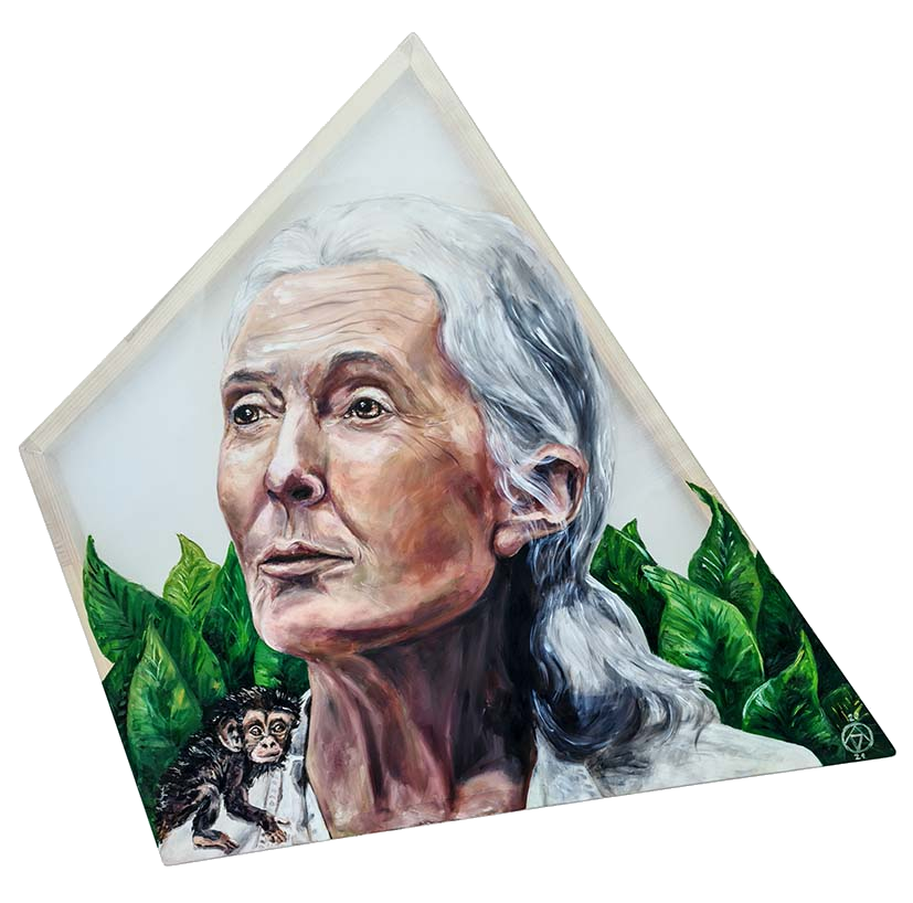 Jane Goodall, oil on silk by Anya Vero